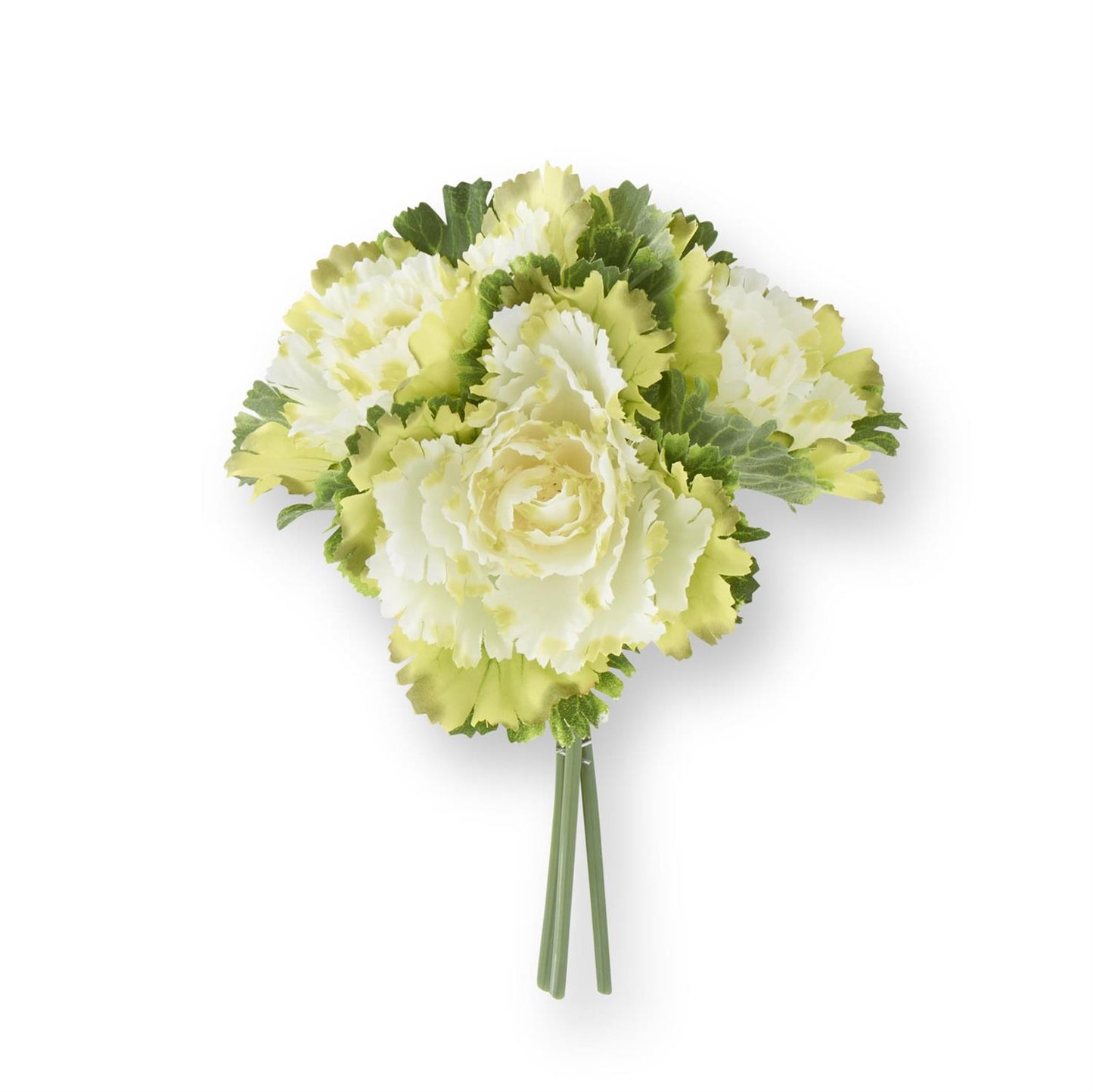 11.5 Inch Cream Cabbage Bundle