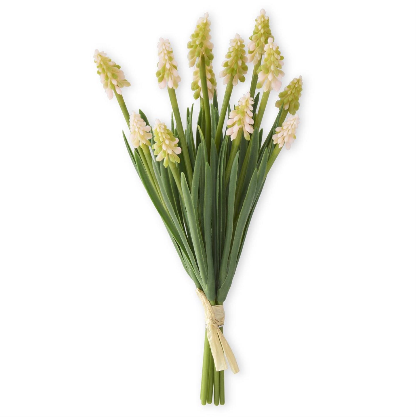 10.5 Inch Light Pink Grape Hyacinth Bundle
