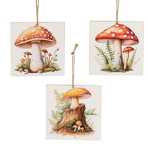 Woodland Mushroom Square Ornament, 3 Asstd.