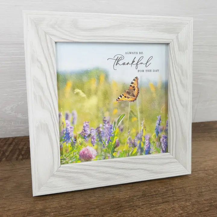 Butterflies Spring Art Always Be Thankful Sign Picture