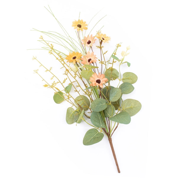 Apricot Little Daisy Pick