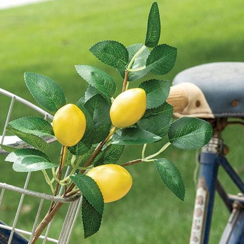 green leaves and lemons in a bike basket