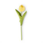 Real Touch Tulip Stem - Assorted Colors