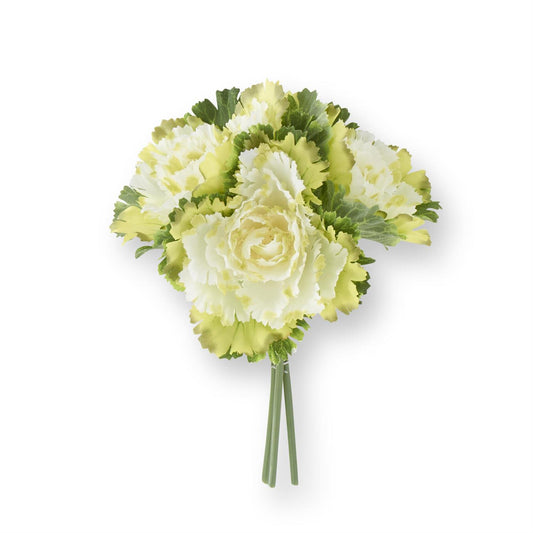 11.5 Inch Cream Cabbage Bundle