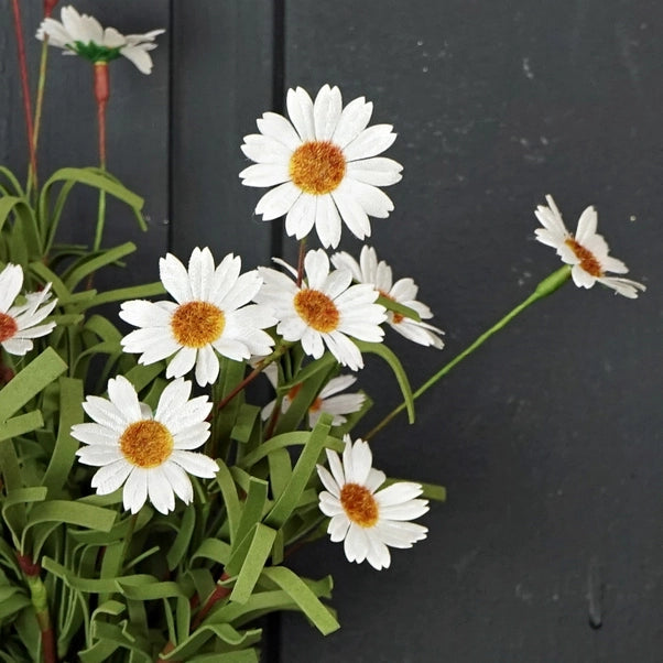 18 inch Mini Mountain Daisy Bush