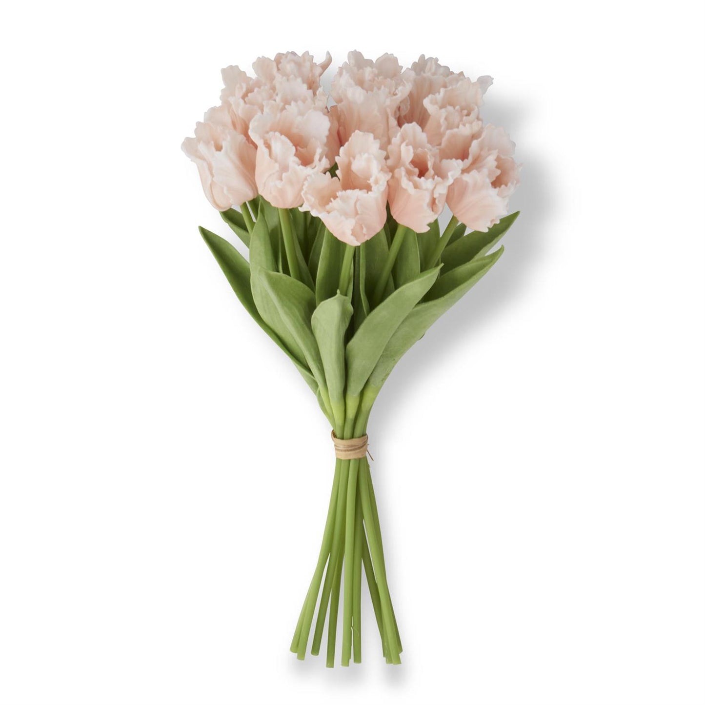 13 Inch Light Peach Real Touch Parrot Tulip, Single Stem