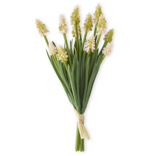 10.5 Inch Light Pink Grape Hyacinth Bundle