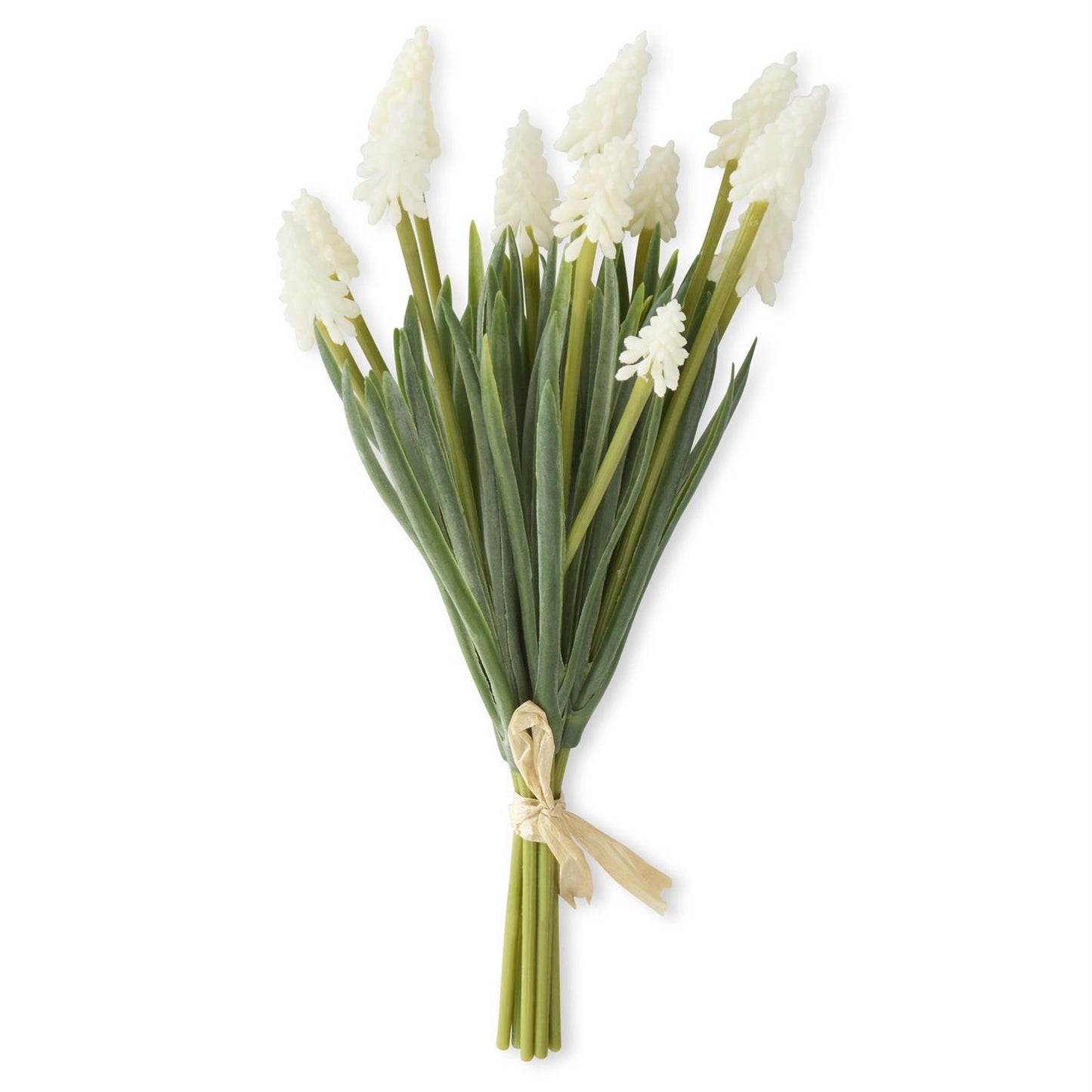 10.5 Inch White Grape Hyacinth Bundle