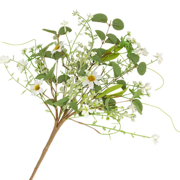 Daisy & Eucalyptus Pick