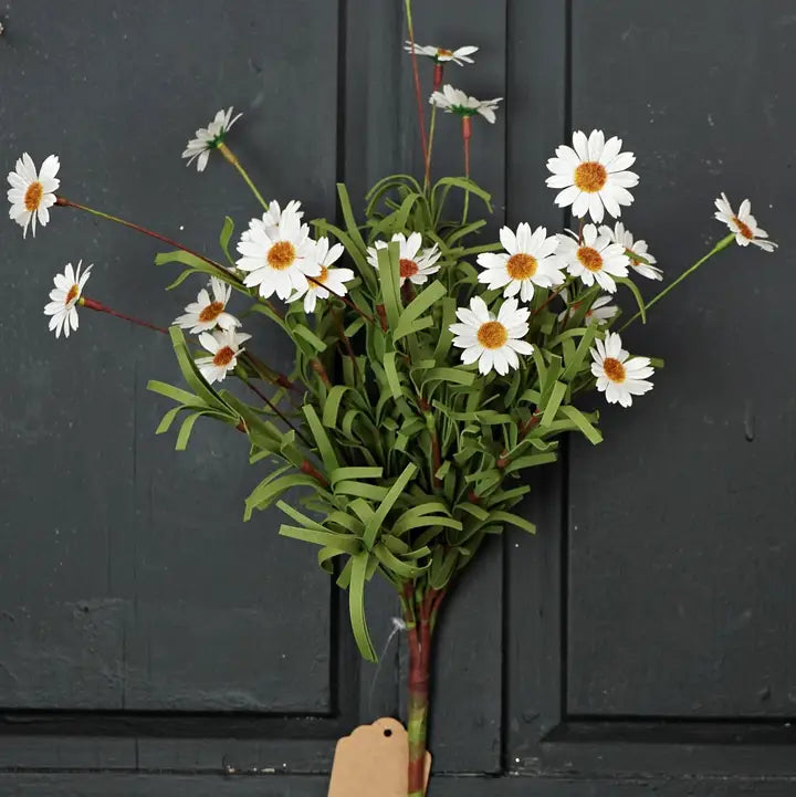 18 inch Mini Mountain Daisy Bush