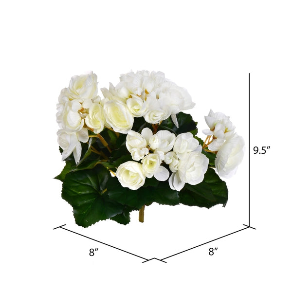 9.5" White Begonia Bush