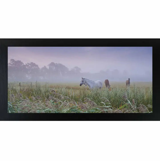 Misty Field with Horses – Panoramic Meadow
