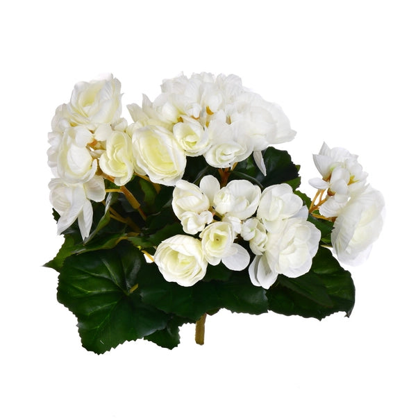 9.5" White Begonia Bush