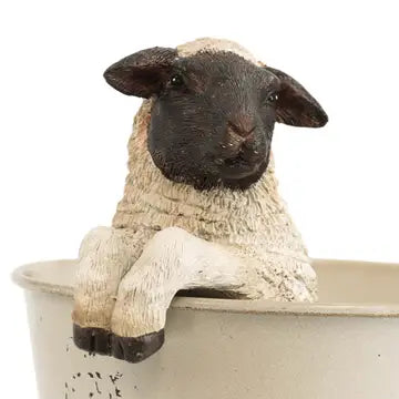 Resin Suffolk Sheep Planter Rim Hanger