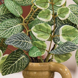 Mixed Ivy & Vine Spray - 20"