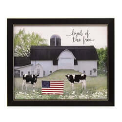 framed picture of white barn with a black roof, 2 cows in front with an american flag between them. 