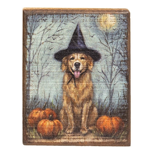 Block Sign: Dog as A Witch